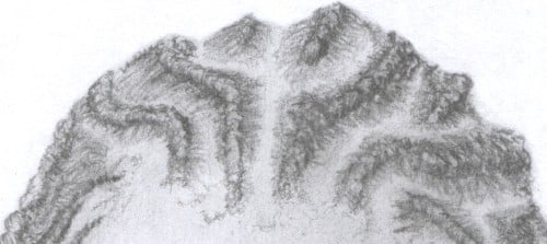 Close up view of drawn cornrows