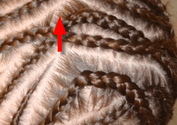 Photo of cornrow with transition between scalp & hair indicated