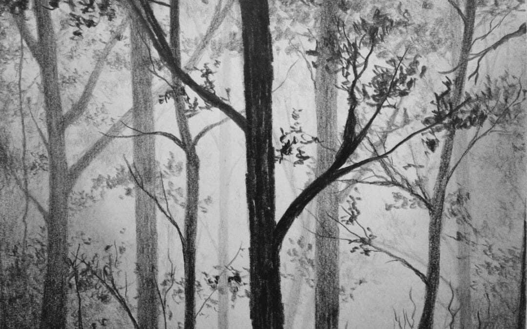 How to Draw a Misty Forest