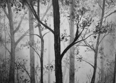 How to Draw a Misty Forest