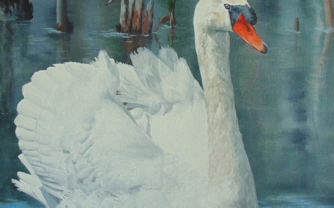 How to Paint a Swan in Oil