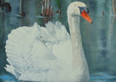 How to Paint a Swan in Oil