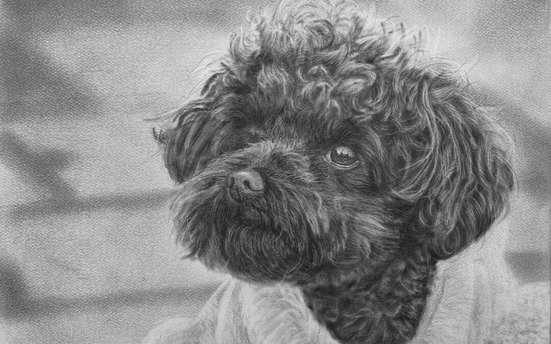 How to Draw Curly Hair Dogs