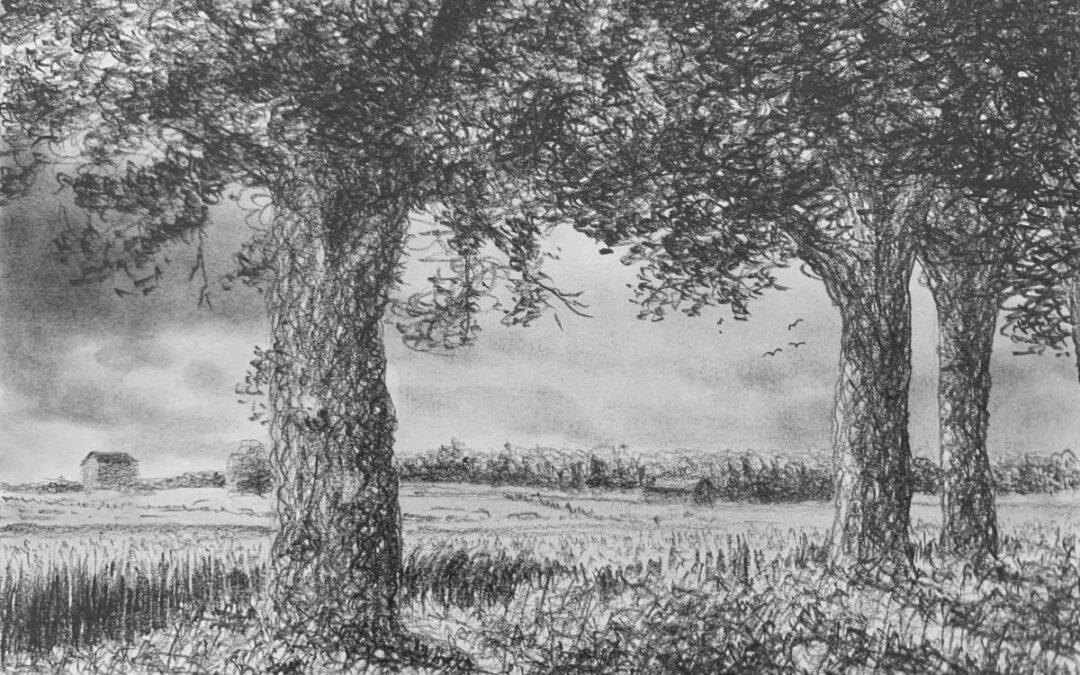 Draw a Landscape by Scumbling
