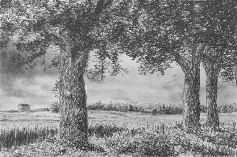 Draw a Landscape by Scumbling