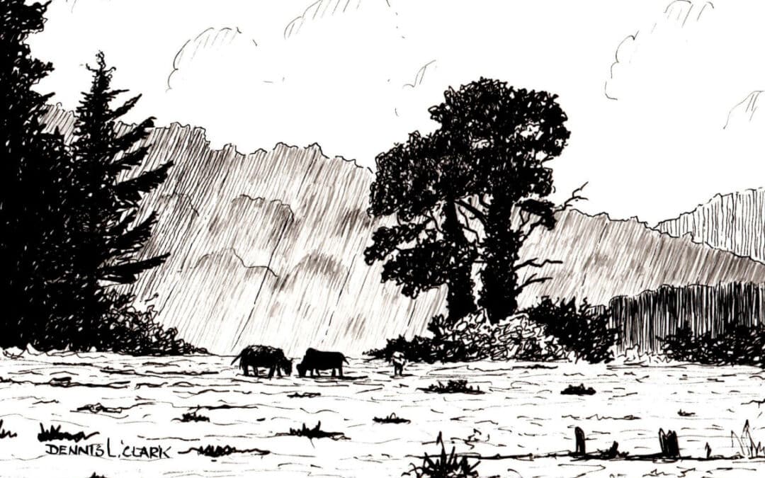 How to Draw a Meadow Scene in Pen and Ink
