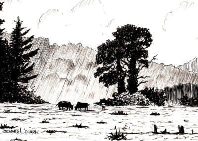 How to Draw a Meadow Scene in Pen and Ink