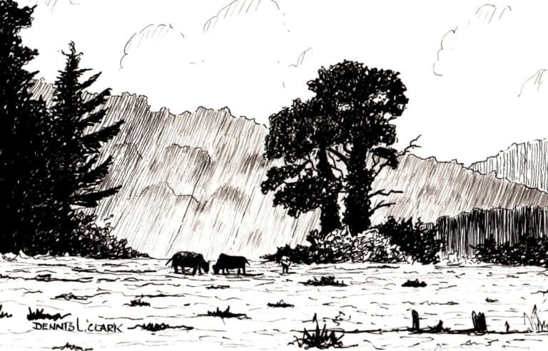 How to Draw a Meadow Scene in Pen and Ink