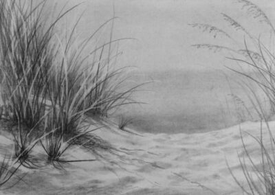 How to Draw Sand Dunes