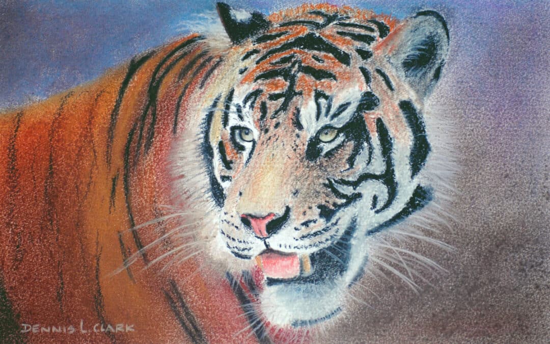How to Draw a Tiger Portrait in Pastel