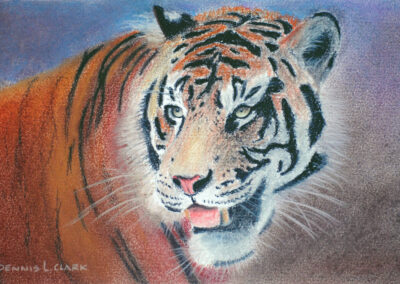 How to Draw a Tiger Portrait in Pastel