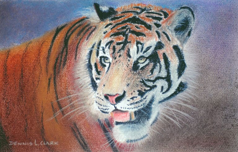 How to Draw a Tiger Portrait in Pastel