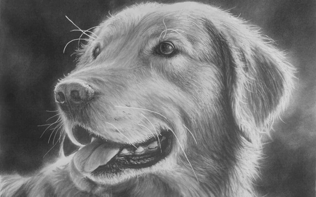 Draw a Realistic Golden Retriever