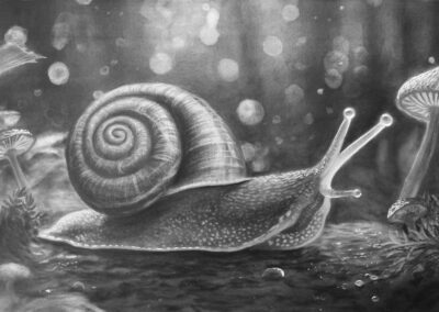 How to Draw a Snail Step by Step