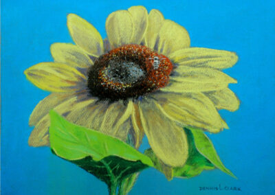 How to Draw a Sunflower with a Bee in Pastel