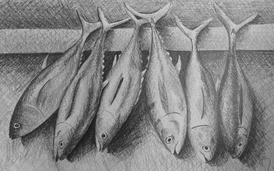 How to Crosshatch Fish