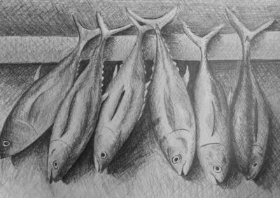 How to Crosshatch Fish