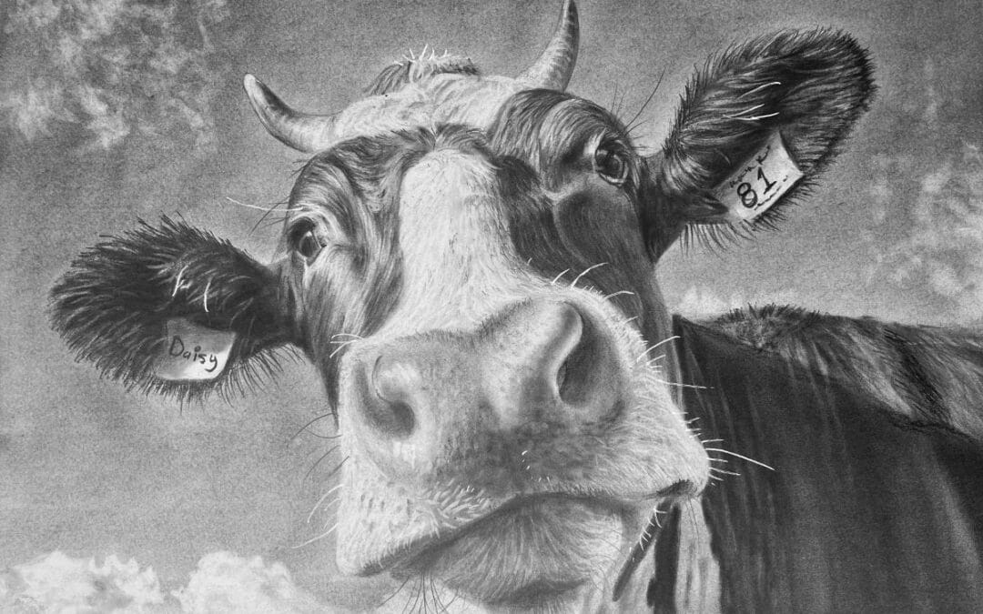 How to Draw a Cow Portrait