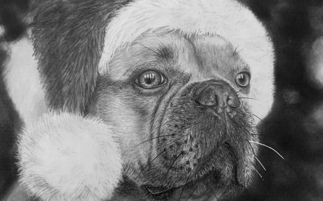 How to Draw a French Bulldog