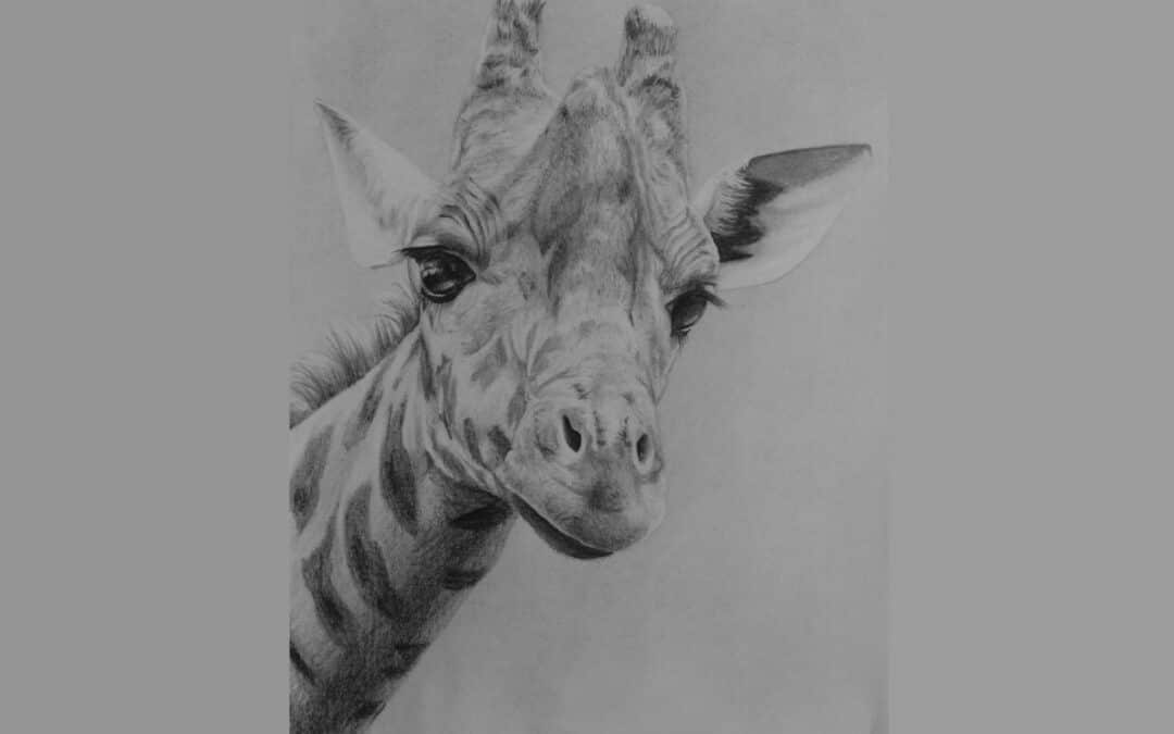 How to Draw a Giraffe