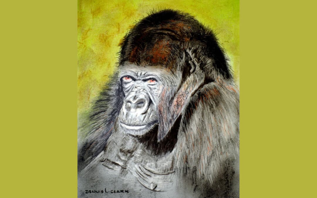 How to Draw a Gorilla Portrait in Pastel