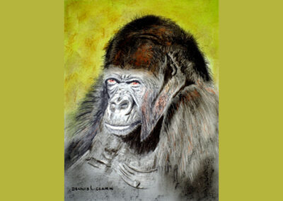 How to Draw a Gorilla Portrait in Pastel