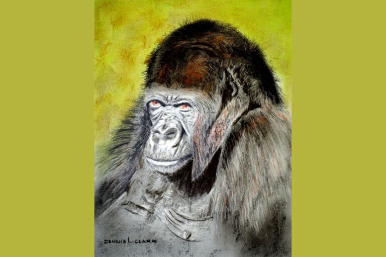 How to Draw a Gorilla Portrait in Pastel
