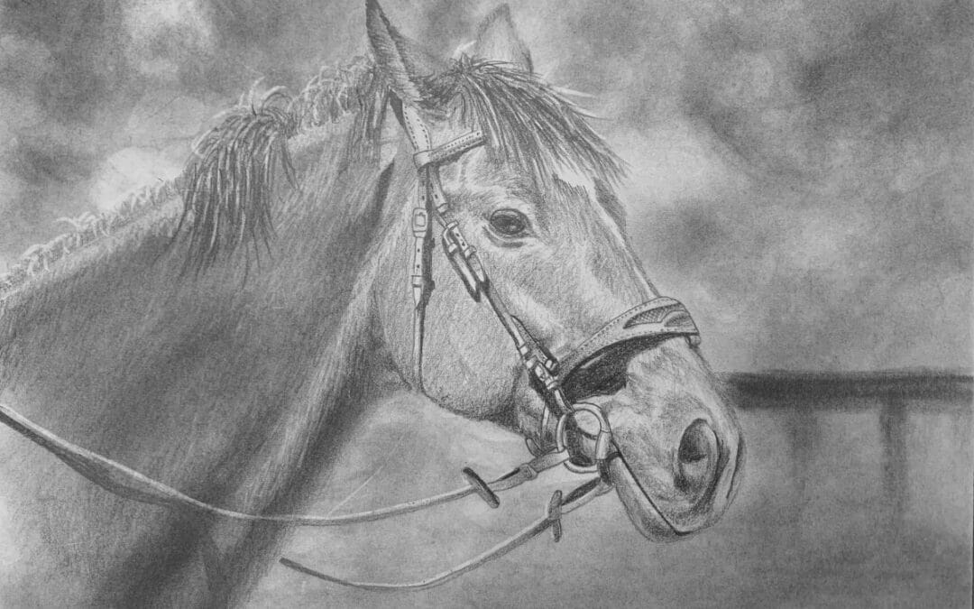 How to Draw a Horse
