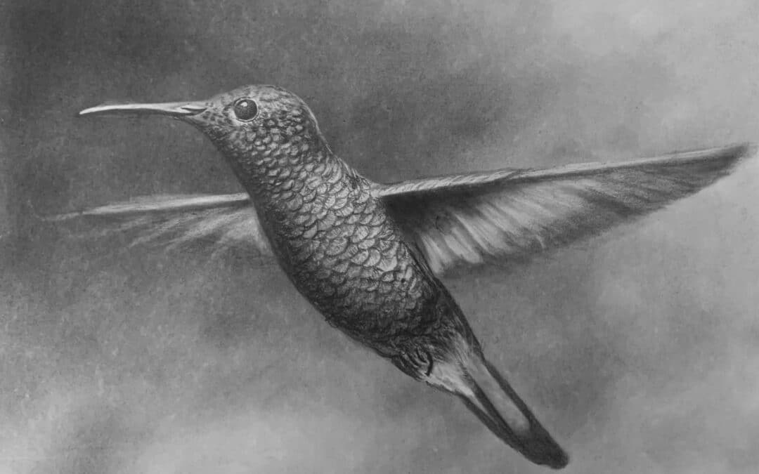 How to Draw a Hummingbird