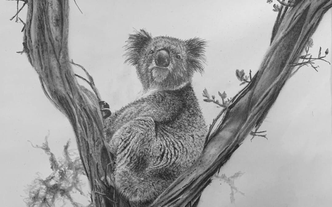 How to Draw a Koala