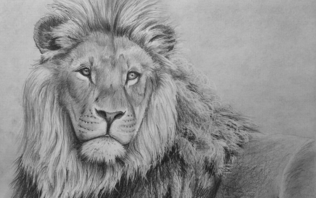 How to Draw a Lion in Pencil