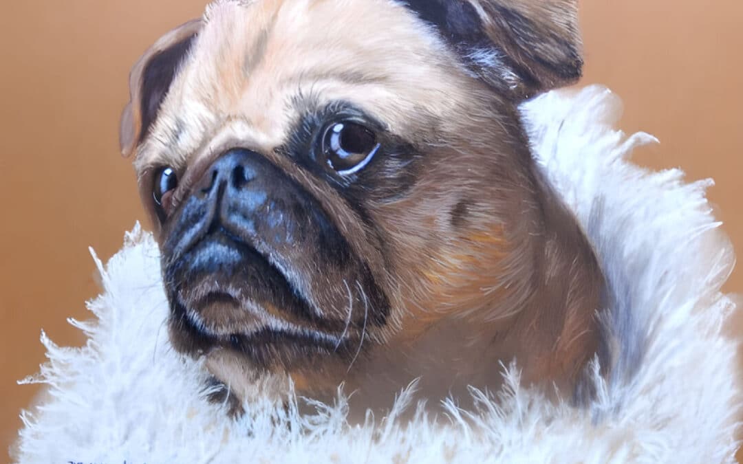 How to Draw a Pug Portrait in Pastel