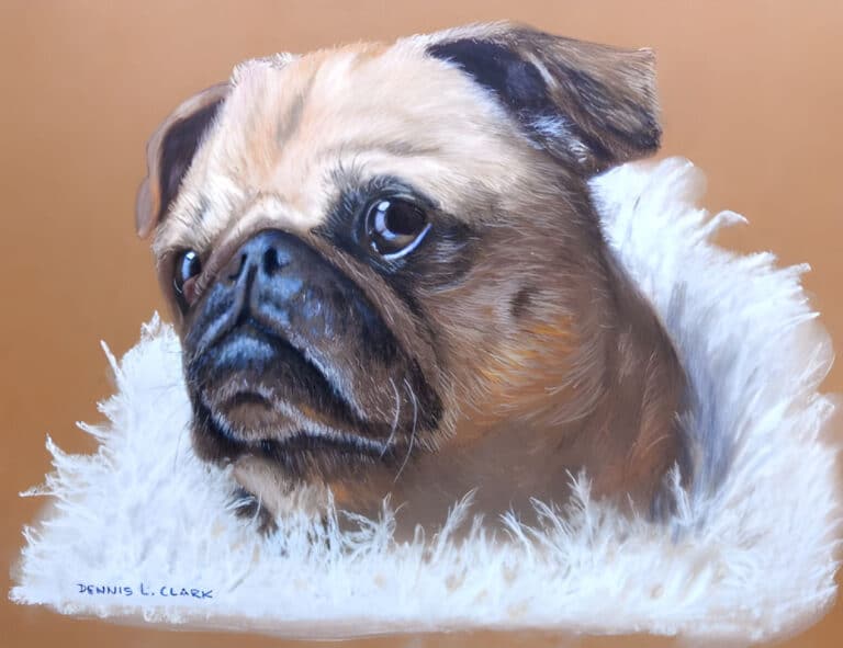 How to Draw a Pug Portrait in Pastel