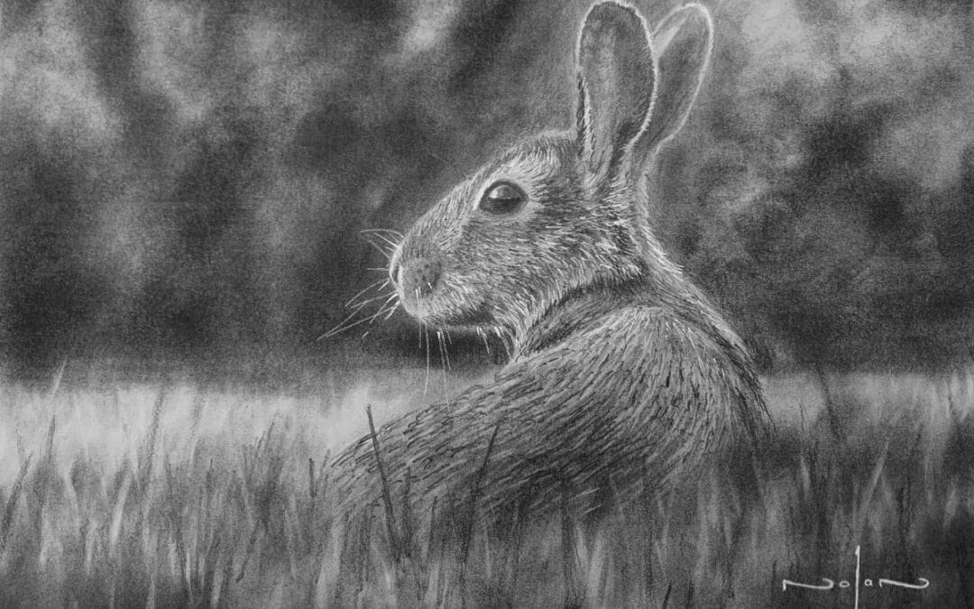 How to Draw a Rabbit