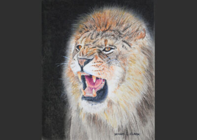 How to Draw a Roaring Lion in Pastel