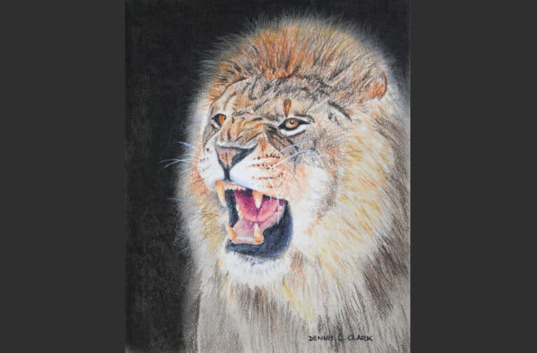 How to Draw a Roaring Lion in Pastel