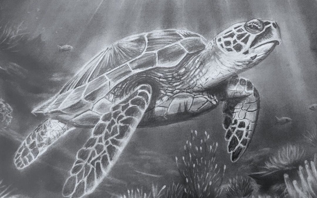 How to Draw a Turtle Underwater