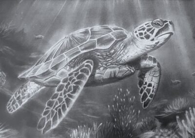 How to Draw a Turtle Underwater