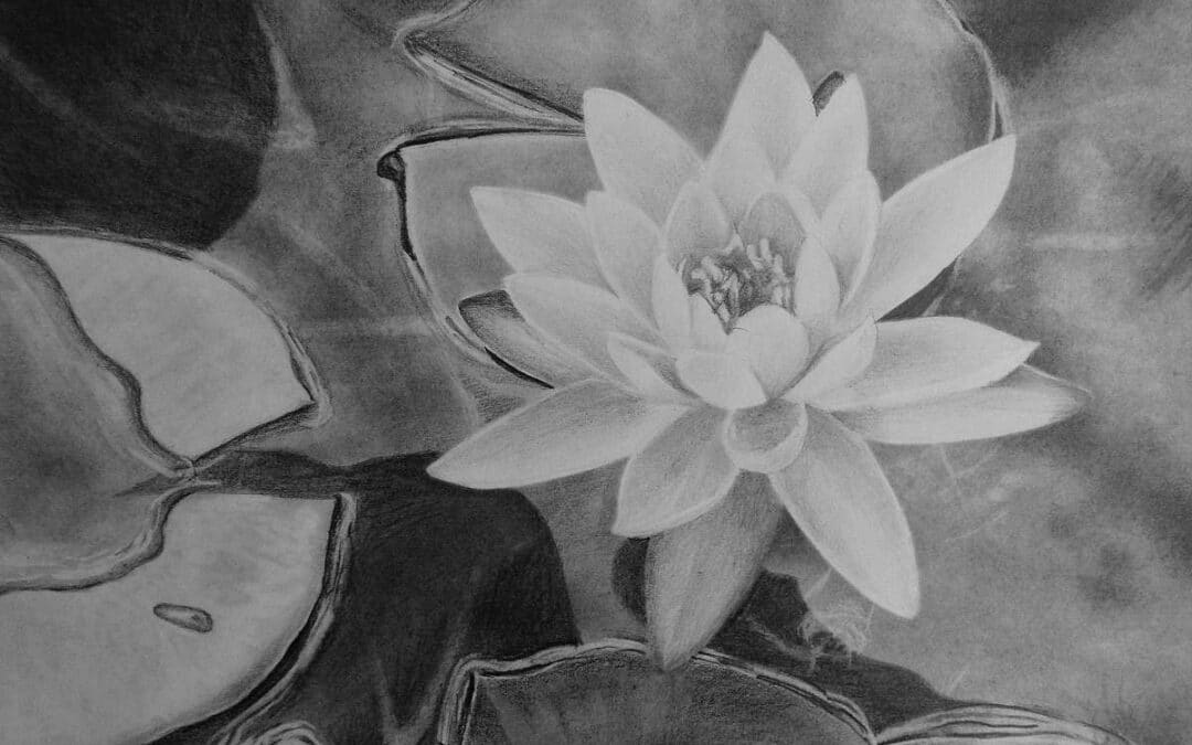 How to Draw a Waterlily