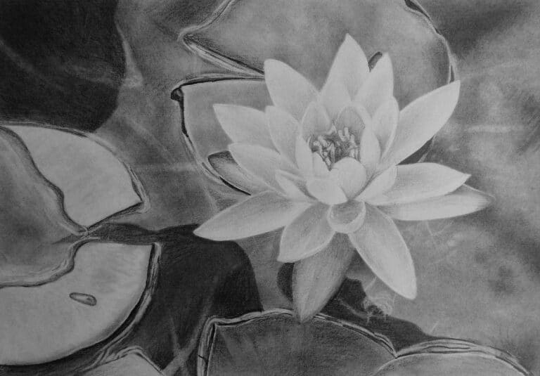 How to Draw a Waterlily