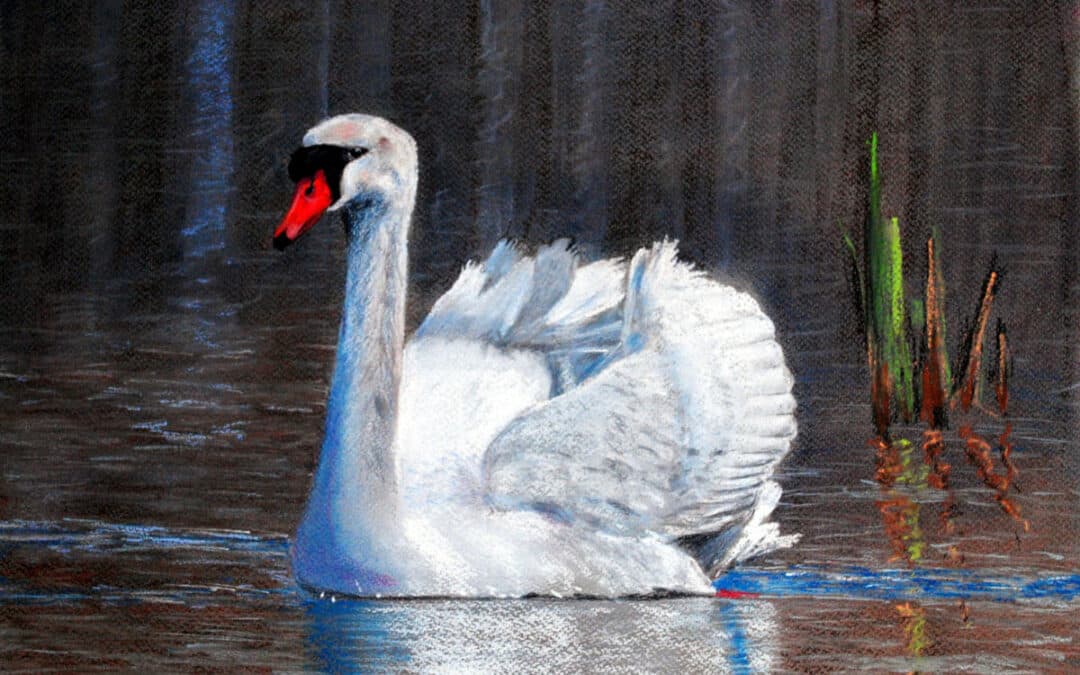 How to Draw a White Swan in Pastel