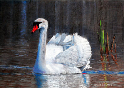 How to Draw a White Swan in Pastel