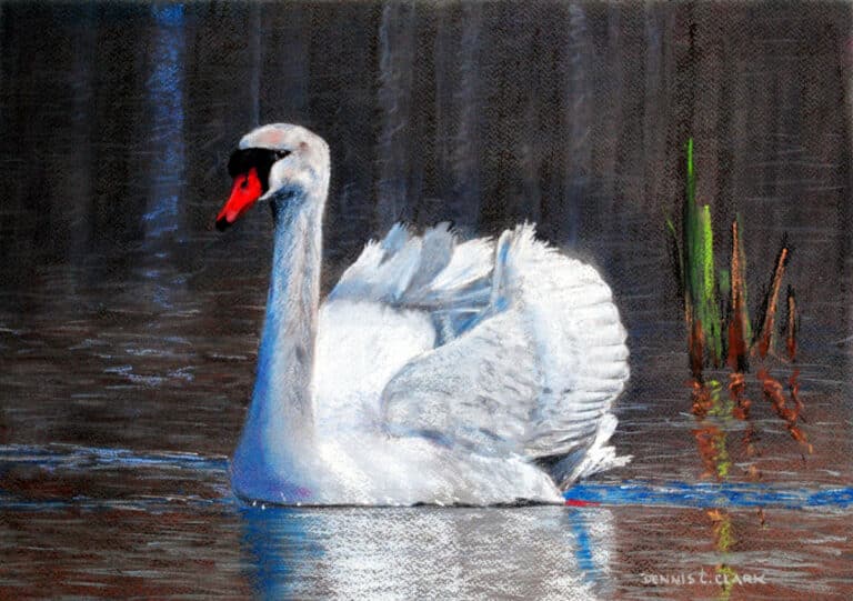 How to Draw a White Swan in Pastel