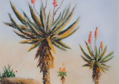 How to Draw Aloes in Pastel