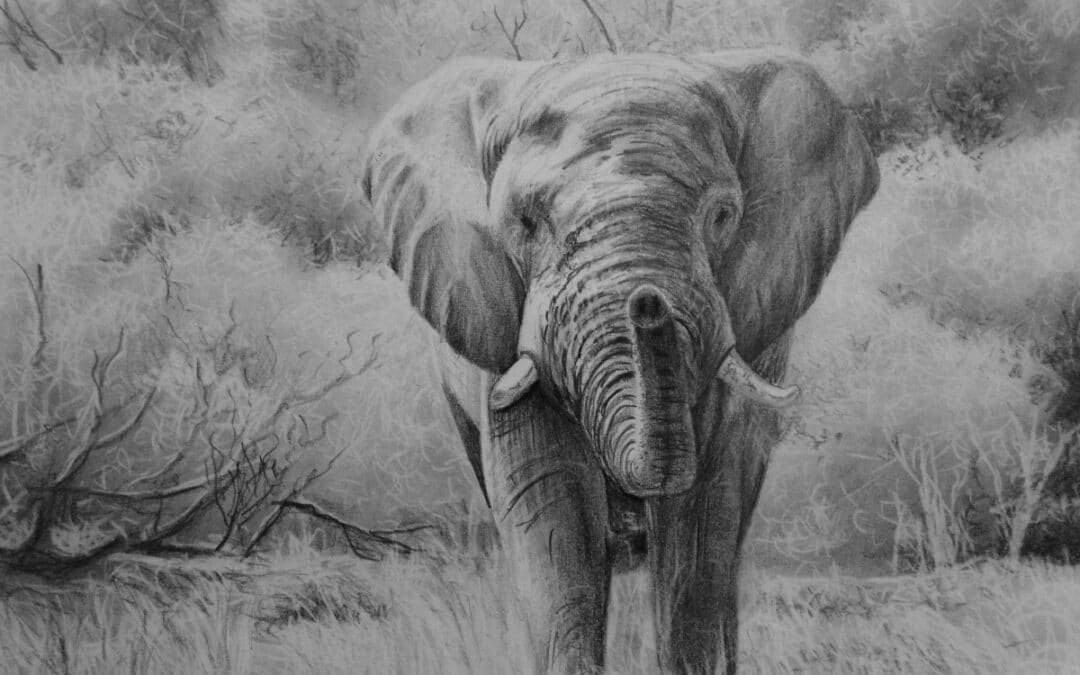 How to Draw an Elephant