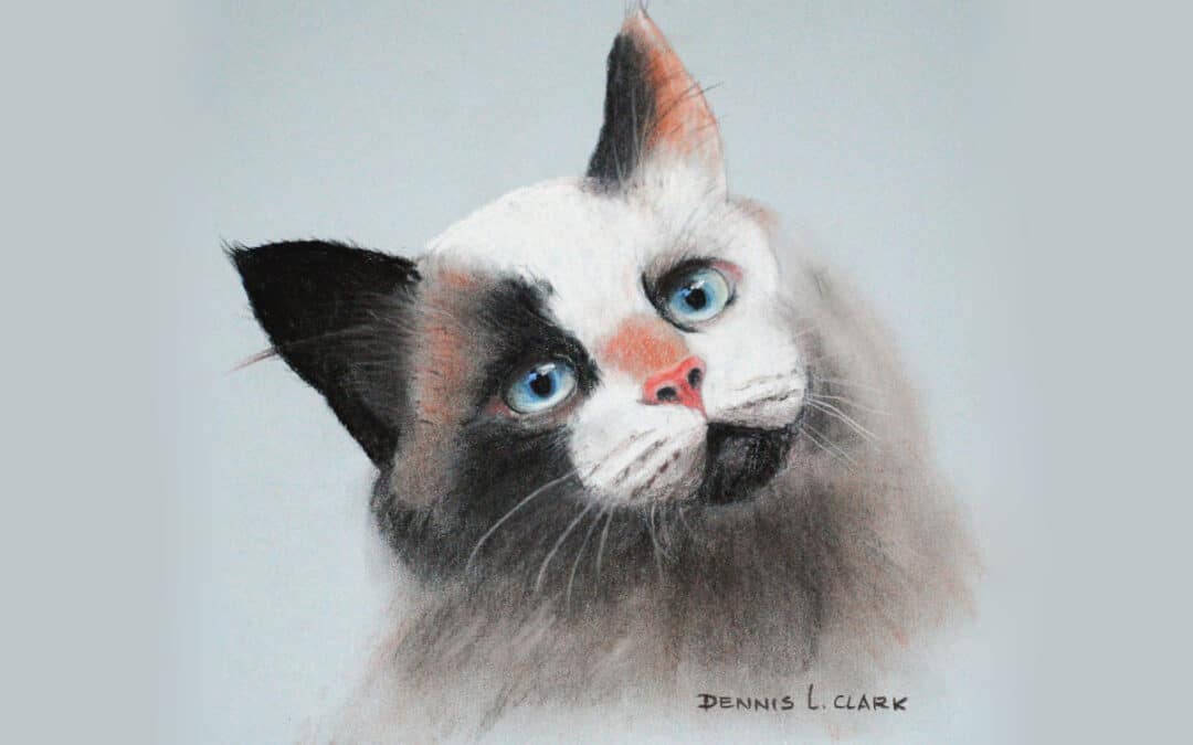 How to Draw a Cat in Pastel
