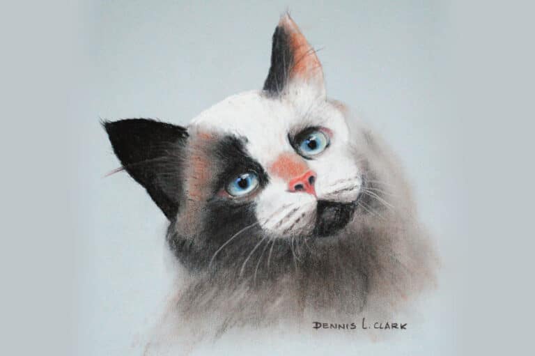 How to Draw a Cat in Pastel