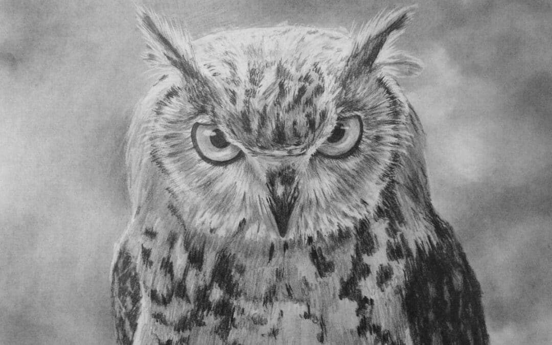 How to Draw an Owl