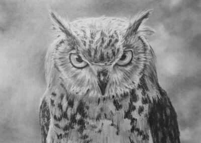 How to Draw an Owl