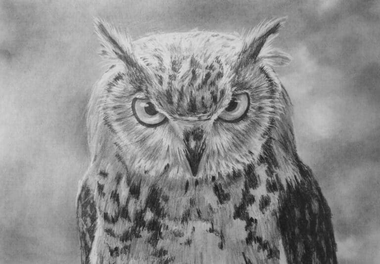 How to Draw an Owl